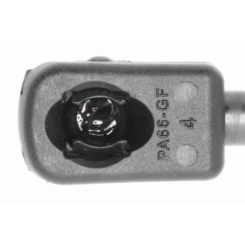 Gasfeder, Koffer-/Laderaum VAICO V10-1961 Original VAICO Qualit&auml;t f&uuml;r AUDI SEAT