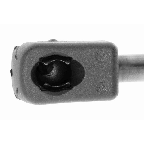 Gasfeder, Koffer-/Laderaum VAICO V10-2079 Original VAICO Qualit&auml;t f&uuml;r AUDI SEAT