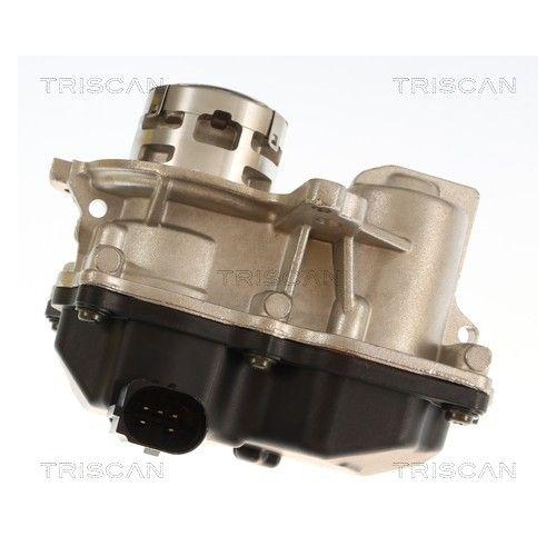 TRISCAN 8813 29119 AGR-Ventil f&uuml;r AUDI SEAT SKODA VW CUPRA