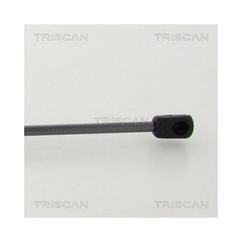 Gasfeder, Koffer-/Laderaum TRISCAN 8710 292016 für AUDI, hinten links
