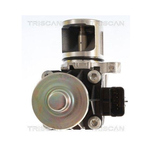 TRISCAN 8813 16074 AGR-Ventil f&uuml;r FORD