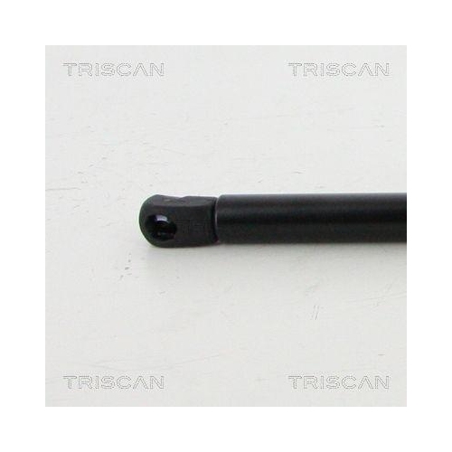 Gasfeder, Koffer-/Laderaum TRISCAN 8710 292017 f&uuml;r AUDI, hinten links