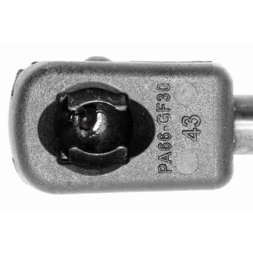 Gasfeder, Motorhaube VAICO V10-1965 Original VAICO Qualität für AUDI SEAT SKODA