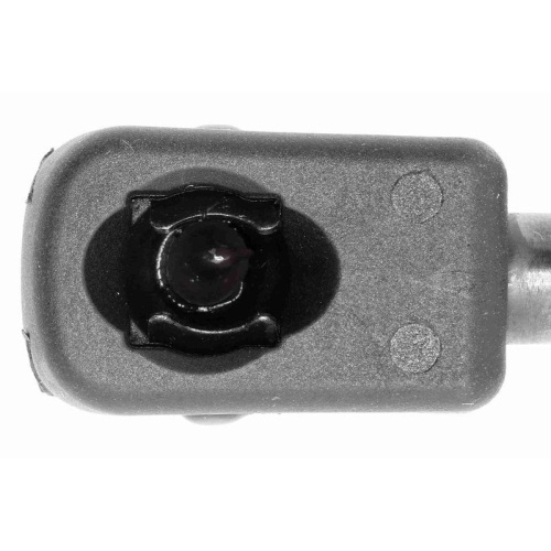 Gasfeder, Koffer-/Laderaum VAICO V24-0206 Original VAICO Qualit&auml;t f&uuml;r FIAT