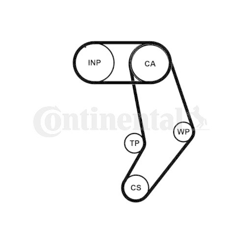 CONTINENTAL CTAM CT939WP10PRO Wasserpumpe + Zahnriemensatz f&uuml;r VW