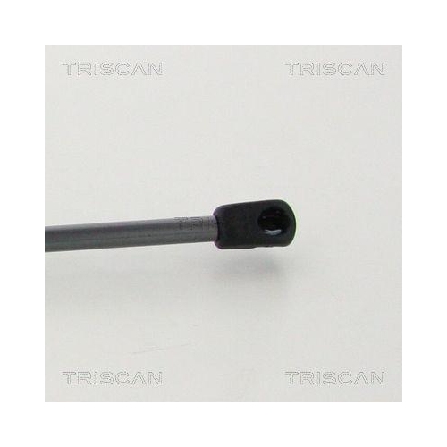 Gasfeder, Koffer-/Laderaum TRISCAN 8710 292036 f&uuml;r AUDI, hinten links