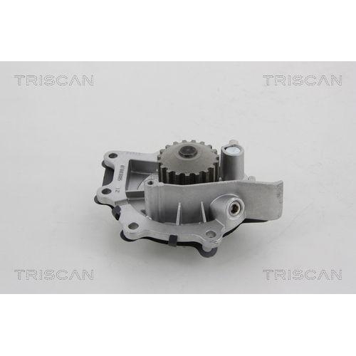 Wasserpumpe, K&uuml;hlkreislauf elektrischer Antrieb TRISCAN 8600 28021 f&uuml;r CITRO&Euml;N