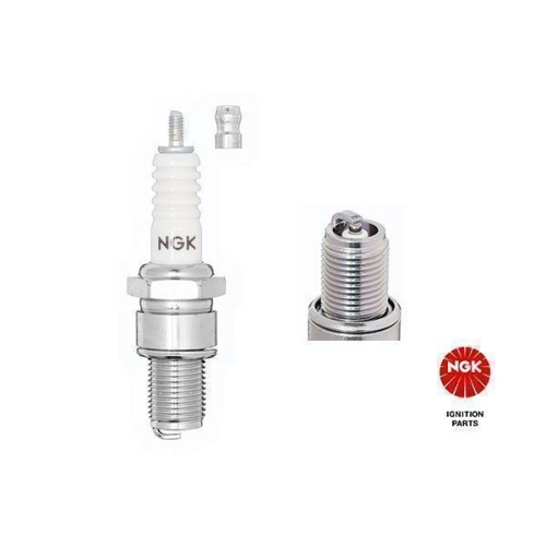 Z&uuml;ndkerze NGK 7310 f&uuml;r CITRO&Euml;N DAIHATSU HONDA ISUZU MAZDA MITSUBISHI NISSAN