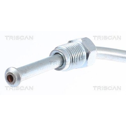 Bremsschlauch TRISCAN 8150 29343 f&uuml;r SEAT VW, Hinterachse links, au&szlig;en