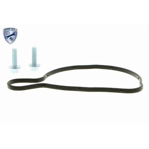 Wasserpumpe, Motork&uuml;hlung VAICO V10-50063 EXPERT KITS + f&uuml;r AUDI SEAT SKODA VW
