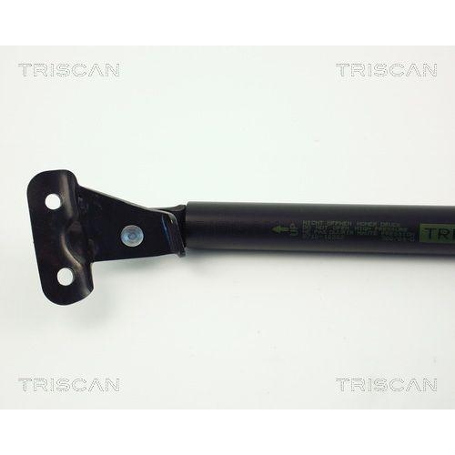 Gasfeder, Koffer-/Laderaum TRISCAN 8710 10202 f&uuml;r OPEL SUZUKI, links