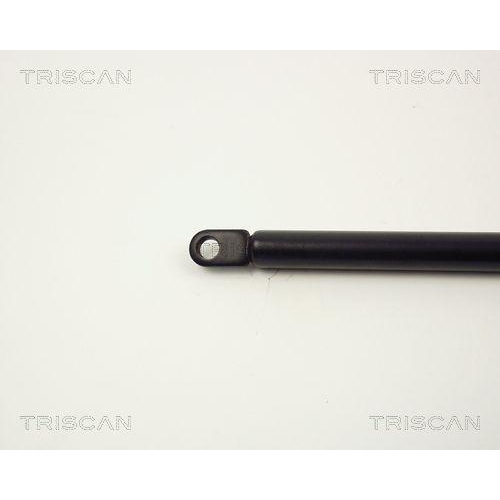 Gasfeder, Motorhaube TRISCAN 8710 1102 f&uuml;r BMW