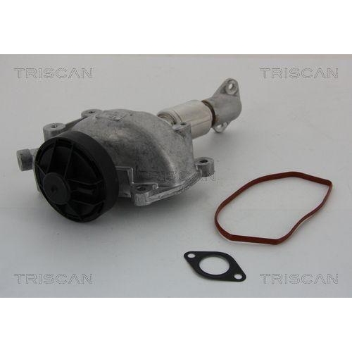 AGR-Ventil TRISCAN 8813 23023 f&uuml;r MERCEDES-BENZ