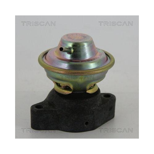 AGR-Ventil TRISCAN 8813 23200 f&uuml;r MERCEDES-BENZ