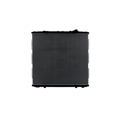 HELLA K&uuml;hler, Motork&uuml;hlung 8MK 366 300-891 f&uuml;r DAF