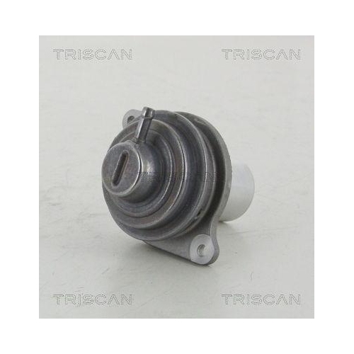 AGR-Ventil TRISCAN 8813 23207 f&uuml;r MERCEDES-BENZ SMART