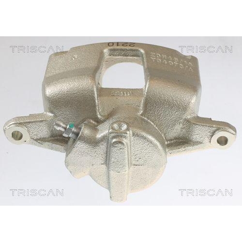 Bremssattel TRISCAN 8175 10221 f&uuml;r CITRO&Euml;N FIAT PEUGEOT, Hinterachse links
