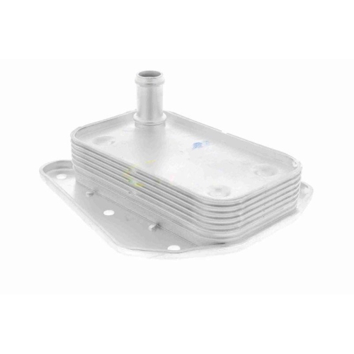 &Ouml;lk&uuml;hler, Motor&ouml;l VEMO V30-60-1273 Original VEMO Qualit&auml;t f&uuml;r CHRYSLER DODGE