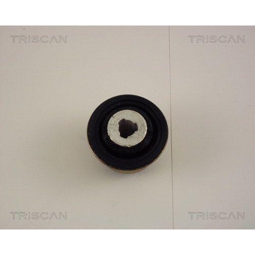 Lagerung, Lenker TRISCAN 8500 25806 f&uuml;r NISSAN RENAULT, Vorderachse, hinten