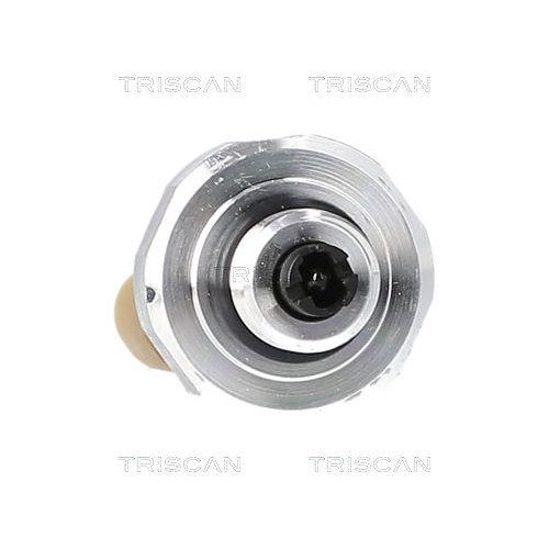 Druckschalter, Klimaanlage TRISCAN 8889 81003 für TESLA