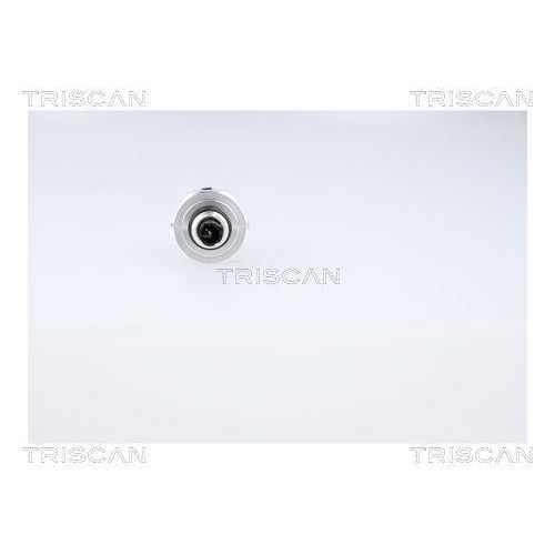 Druckschalter, Klimaanlage TRISCAN 8889 81004 für TESLA