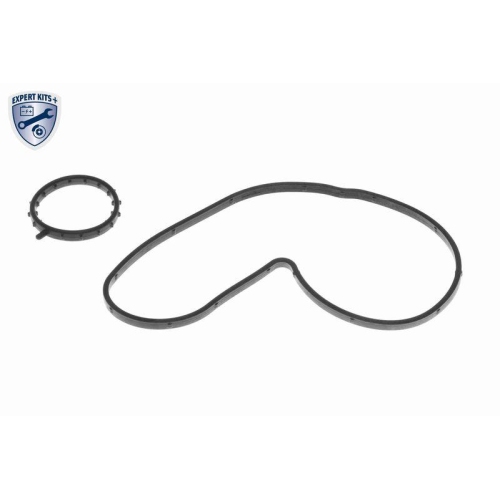 Wasserpumpe, Motorkühlung VAICO V20-4292 EXPERT KITS + für BMW