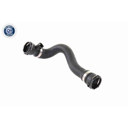 K&uuml;hlerschlauch VAICO V20-0876 Q+, Erstausr&uuml;sterqualit&auml;t f&uuml;r BMW, unten