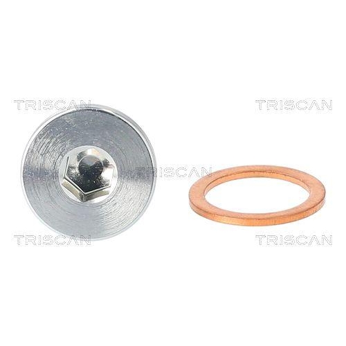Verschlussschraube, Ölwanne TRISCAN 9500 1106 für BMW RENAULT