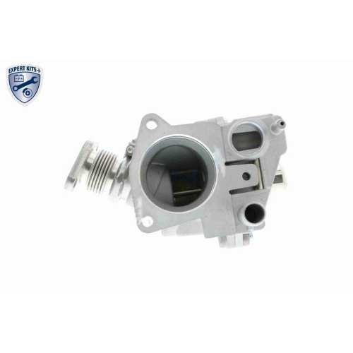AGR-Ventil VEMO V24-63-0008 EXPERT KITS + f&uuml;r ALFA ROMEO CITRO&Euml;N FIAT IVECO