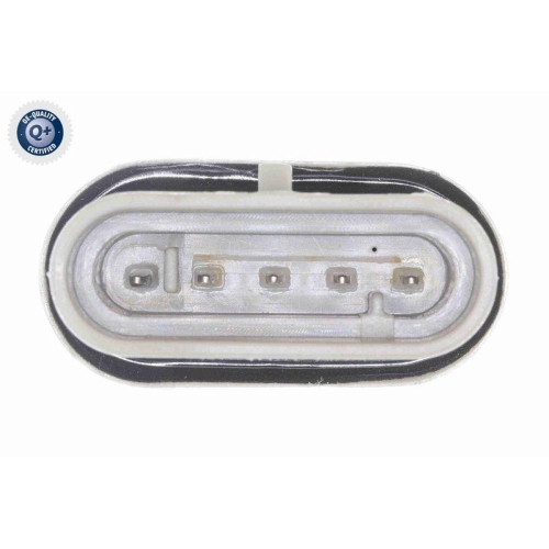 Wassersensor, Kraftstoffanlage VEMO V24-72-0295 Q+, Erstausr&uuml;sterqualit&auml;t f&uuml;r