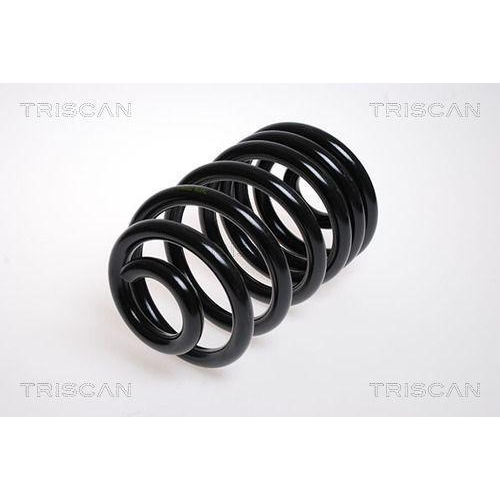 Fahrwerksfeder TRISCAN 8750 1007 f&uuml;r, Hinterachse