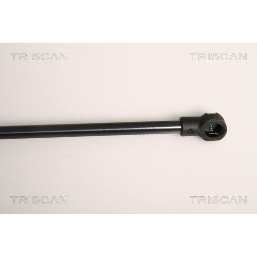 Gasfeder, Koffer-/Laderaum TRISCAN 8710 11235 für BMW, hinten links