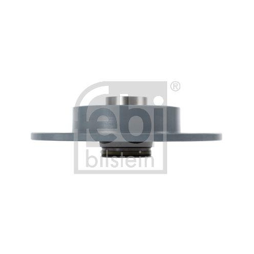 Bremsscheibe FEBI BILSTEIN 108208 f&uuml;r RENAULT, Hinterachse
