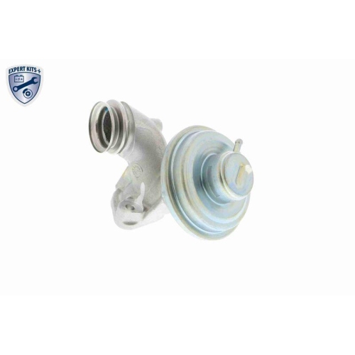AGR-Ventil VEMO V25-63-0013 EXPERT KITS + f&uuml;r CITRO&Euml;N FORD MAZDA PEUGEOT SUZUKI