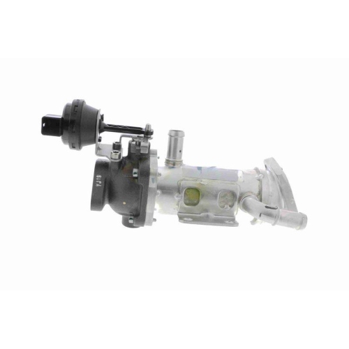 K&uuml;hler, Abgasr&uuml;ckf&uuml;hrung VEMO V42-63-0015 Q+, Erstausr&uuml;sterqualit&auml;t f&uuml;r RENAULT