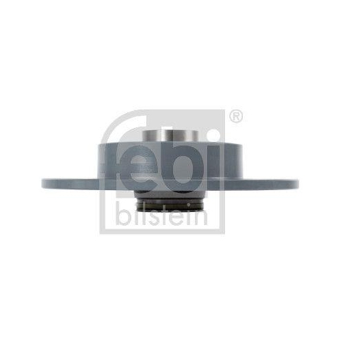FEBI BILSTEIN 108208 2 St&uuml;ck Bremsscheiben f&uuml;r RENAULT, Hinterachse