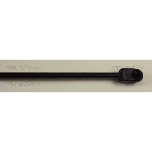 Gasfeder, Koffer-/Laderaum TRISCAN 8710 14228 f&uuml;r NISSAN