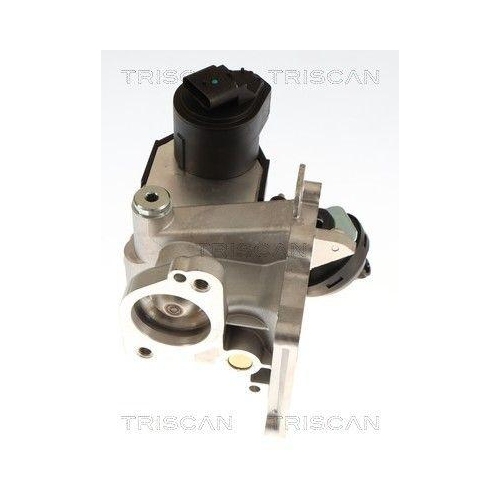 TRISCAN 8813 27106 AGR-Ventil f&uuml;r VOLVO