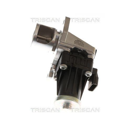 TRISCAN 8813 10060 AGR-Ventil f&uuml;r MERCEDES-BENZ NISSAN RENAULT DACIA INFINITI