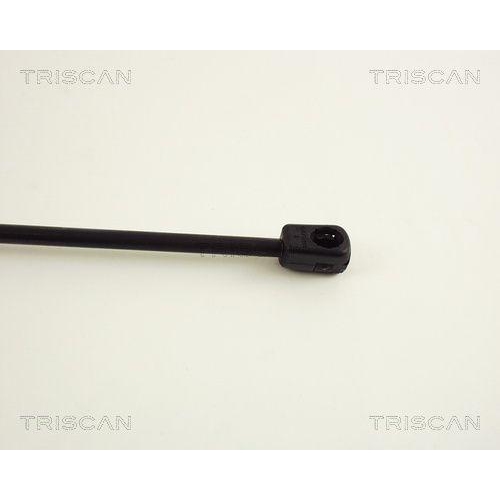 Gasfeder, Koffer-/Laderaum TRISCAN 8710 38203 f&uuml;r CITRO&Euml;N
