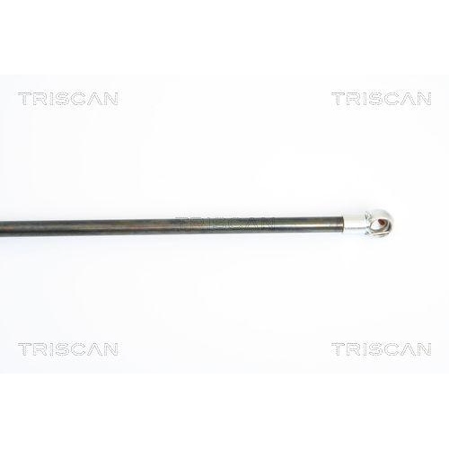 Gasfeder, Koffer-/Laderaum TRISCAN 8710 38221 f&uuml;r CITRO&Euml;N, hinten links