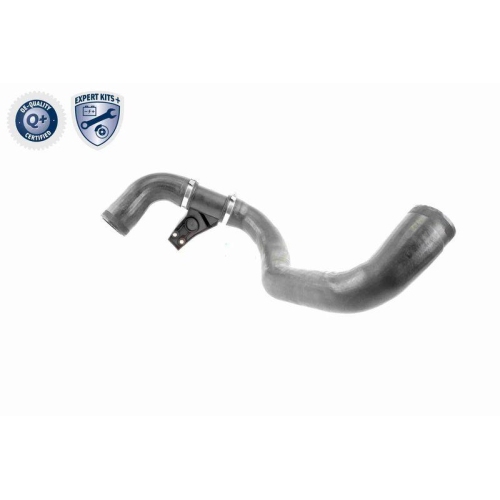 Ladeluftschlauch VAICO V30-1771 EXPERT KITS + f&uuml;r MERCEDES-BENZ SEAT