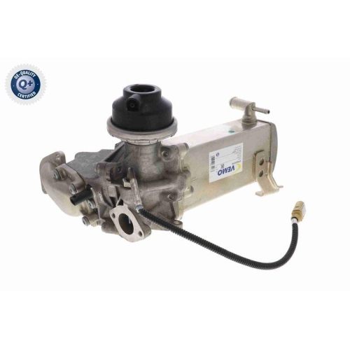 AGR-Modul VEMO V10-63-0119 Q+, Erstausr&uuml;sterqualit&auml;t f&uuml;r AUDI SKODA VW VAG