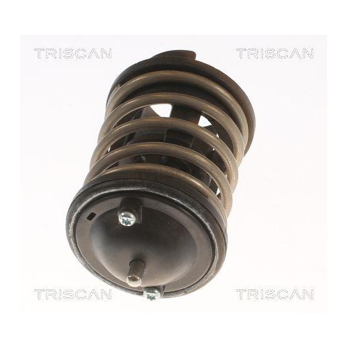 Thermostat, Kühlmittel TRISCAN 8620 33380 für AUDI SEAT SKODA VW