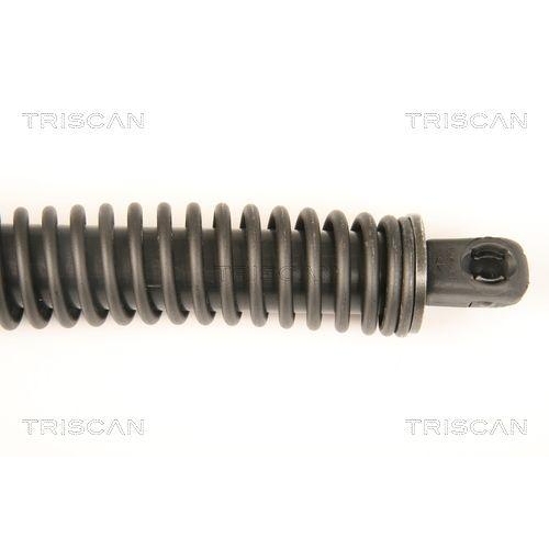 Gasfeder, Koffer-/Laderaum TRISCAN 8710 38228 für CITROËN, hinten links