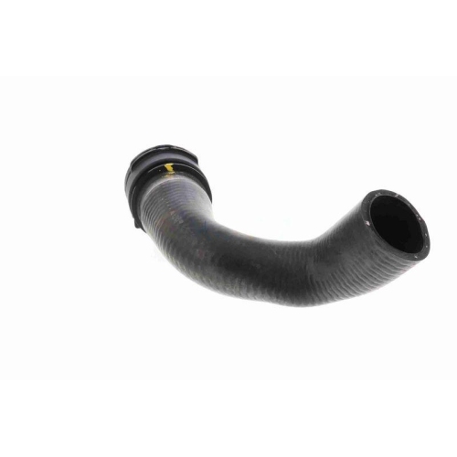 K&uuml;hlerschlauch VAICO V10-5754 Q+, Erstausr&uuml;sterqualit&auml;t f&uuml;r AUDI VW VAG, unten