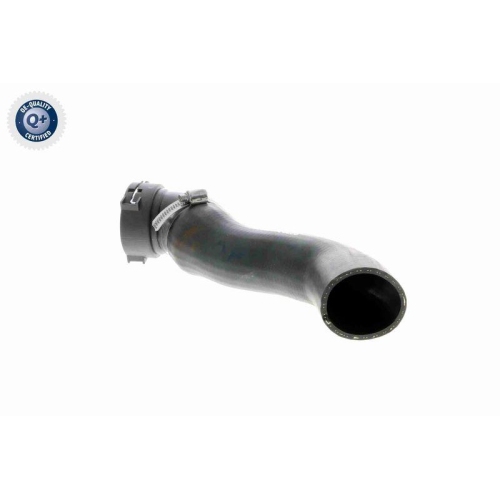 Ladeluftschlauch VAICO V20-1620 Q+, Erstausr&uuml;sterqualit&auml;t f&uuml;r BMW