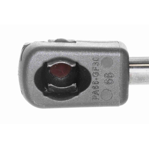 Gasfeder, Koffer-/Laderaum VAICO V10-1976 Original VAICO Qualität für SEAT SKODA