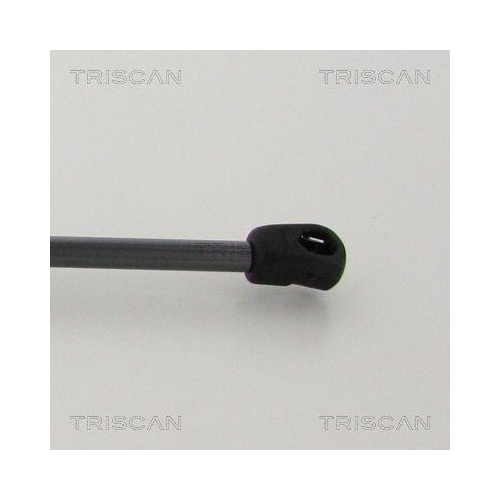 Gasfeder, Koffer-/Laderaum TRISCAN 8710 292044 f&uuml;r VW, hinten links