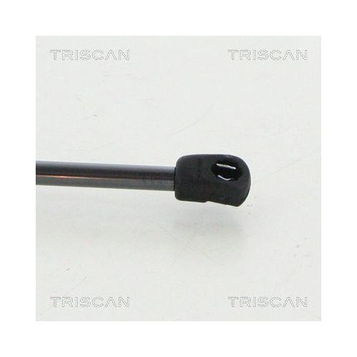 Gasfeder, Koffer-/Laderaum TRISCAN 8710 292047 für VW, hinten links